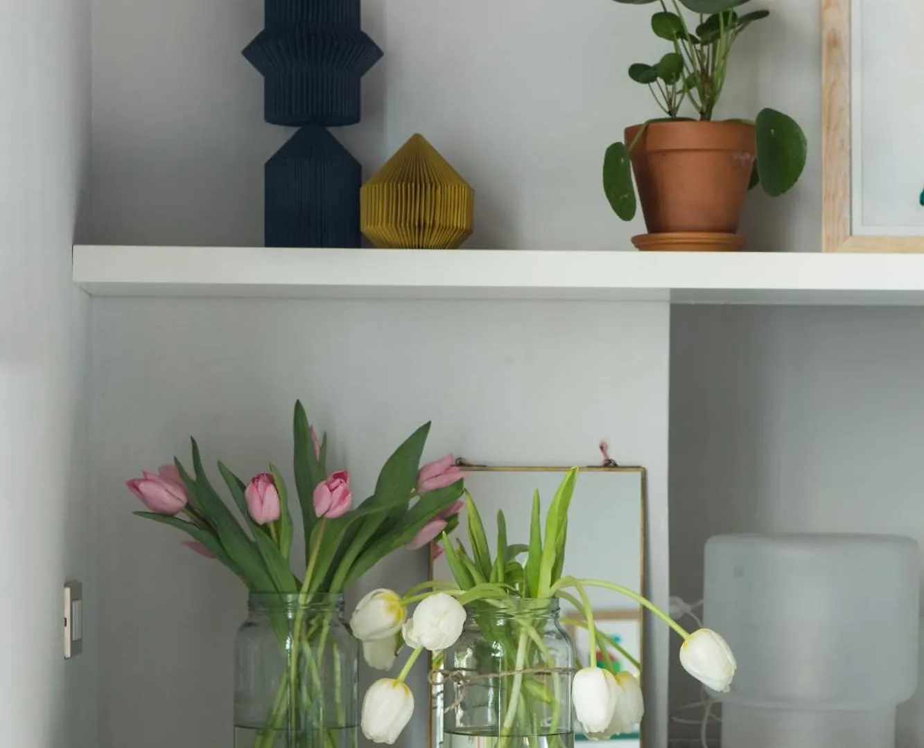 Apartment Greenhouse By Costanza Milan